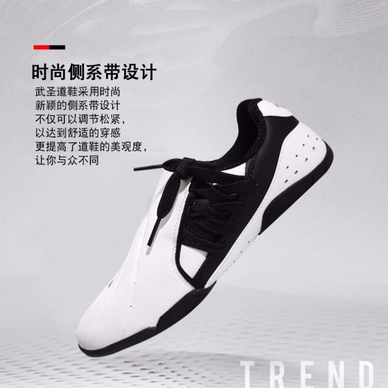 Zapatos profesionales de artes - Men Shoes Vs Women reseña y precio