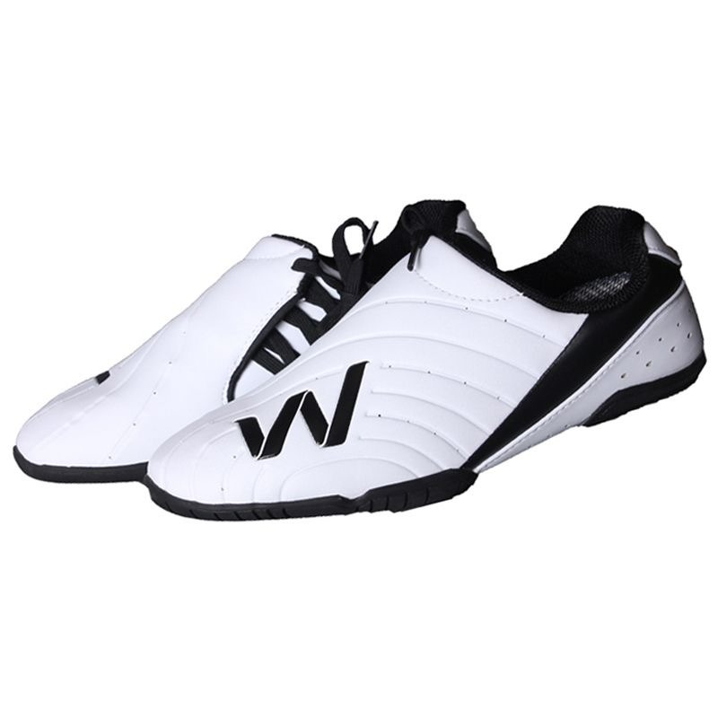 Zapatos profesionales de artes - Men Shoes Vs Women reseña y precio