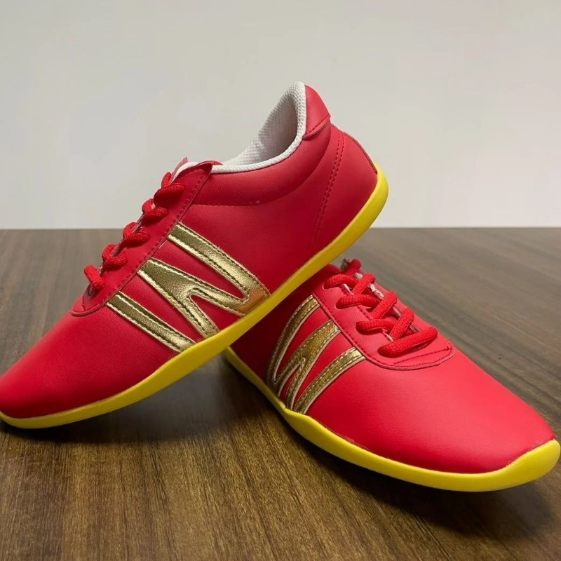 Zapatos profesionales de artes - Men Shoes Vs Women reseña y precio